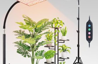 How to Turn a Small Garden or Balcony Into a Source of Organic Food