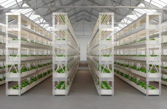 How to Build a Kitchen Herb Garden That Saves Money Every Month